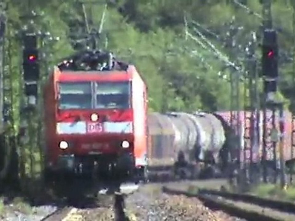 Züge südlich Loreley, SBB Re482, Alpha Trains 185, 151, 145, 152. ICE-T, DBAG 185, 101, 428, 460