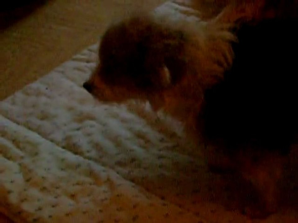 CALINE 20 03 2012