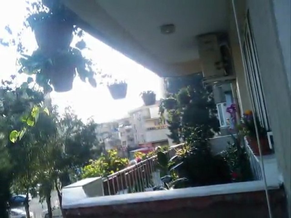 MY GARDEN***21 MARCH 2012