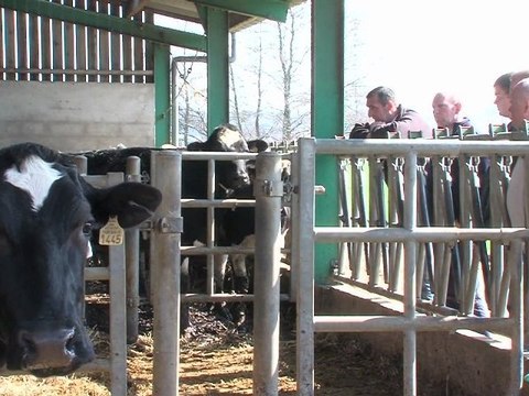 Opal'TV : Le JT - Edition du 20 mars 2012