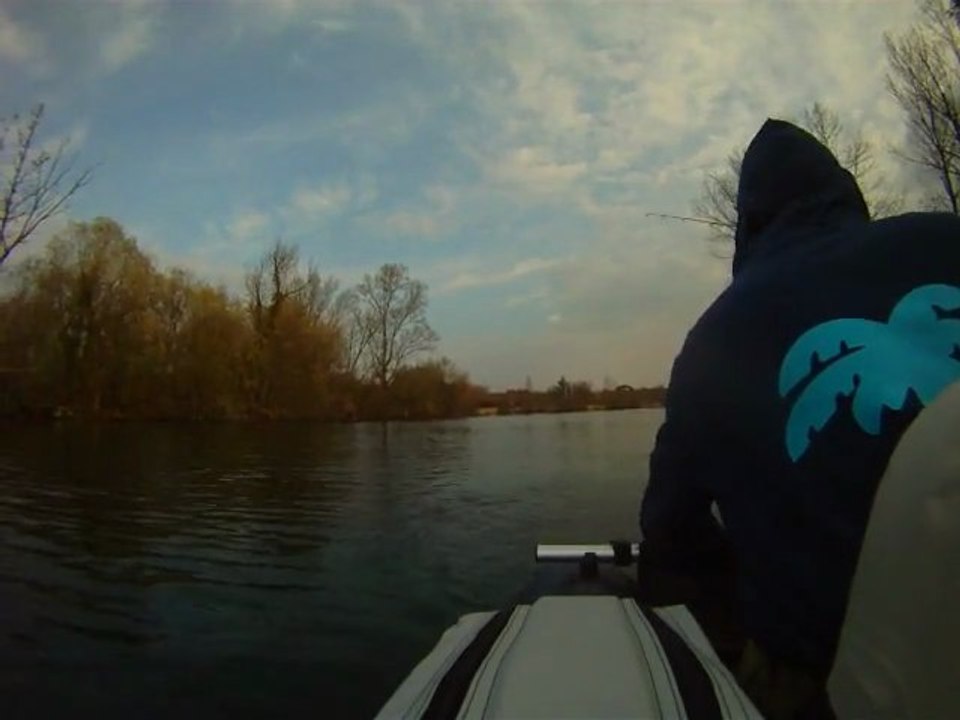 Bass in the cover