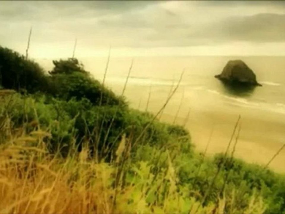 THE NATURE OF THE MUSIC - SUZY