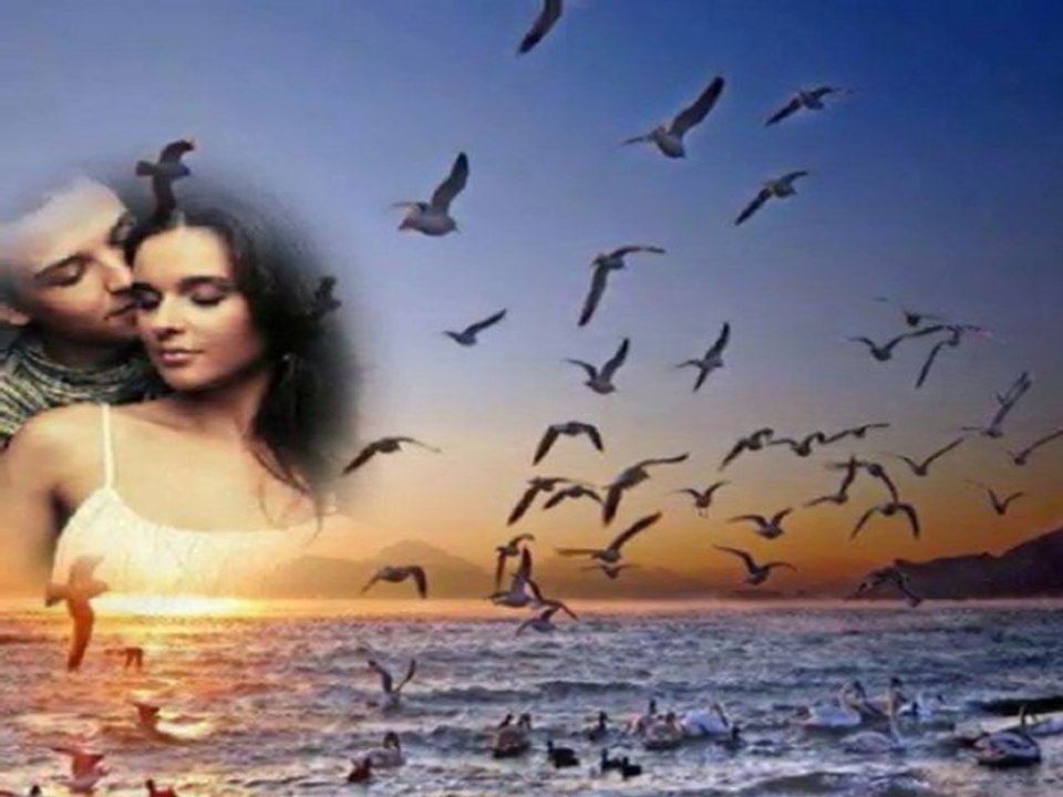 Haydi durma git diyorsun ( Y.JANUARY )