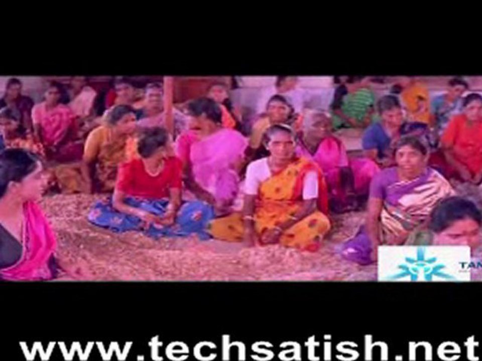 jallikattu