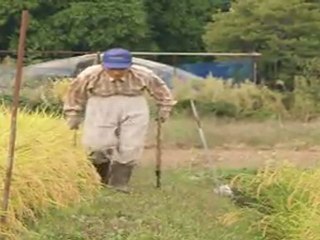 テレメンタリー２０１２：見えない被曝