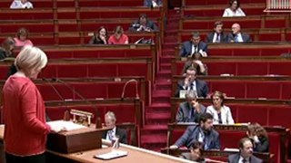 Emplois d'avenir : Françoise Dumas intervient à l'Assemblée Nationale