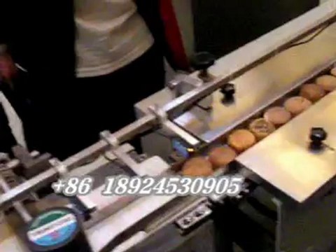 【feeding line automatic packing machine 】