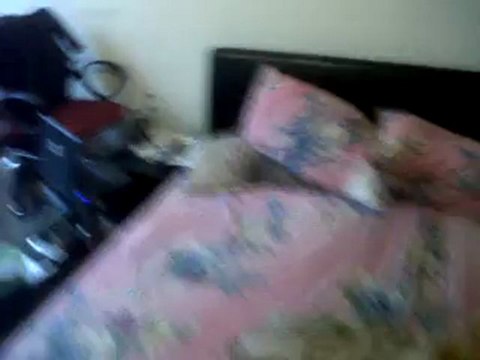 VID 00017-20120923-0950