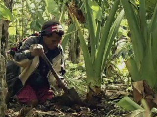Tüfek, Mikrop ve Çelik - 1 / National Geographic