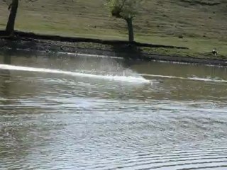 Gensis twin Leopard brushless