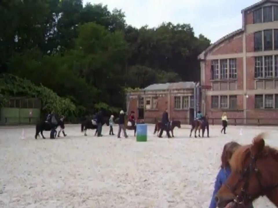 Un petit tour de poney