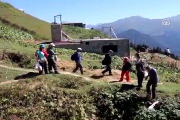 Doğa tutkunlarının gözdesi: Pokut