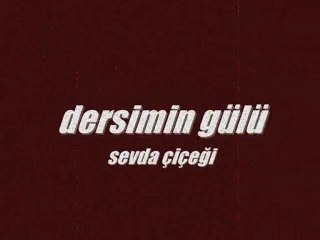 dilber barlin. ferhat dunç. dersim yıkılmasın.perseus serdar med