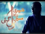 Teri Rah Main Rul Gayi OST Drama on Urdu1