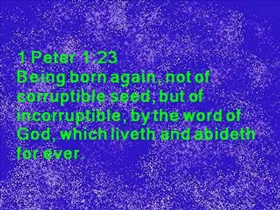 DAILY IN  CHRIST - 219