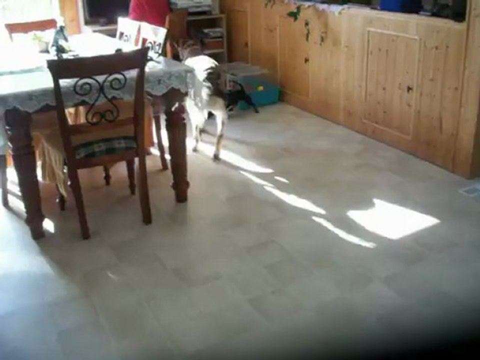 Charlotte et Chloé qui s'amusent.