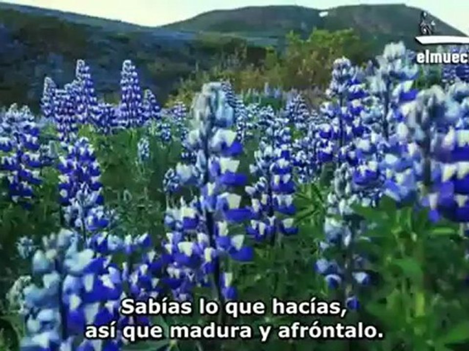 Innocence of Muslims RESPUESTA