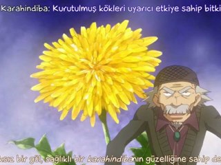 Honey & Clover 18. Bölüm- yeppudaa
