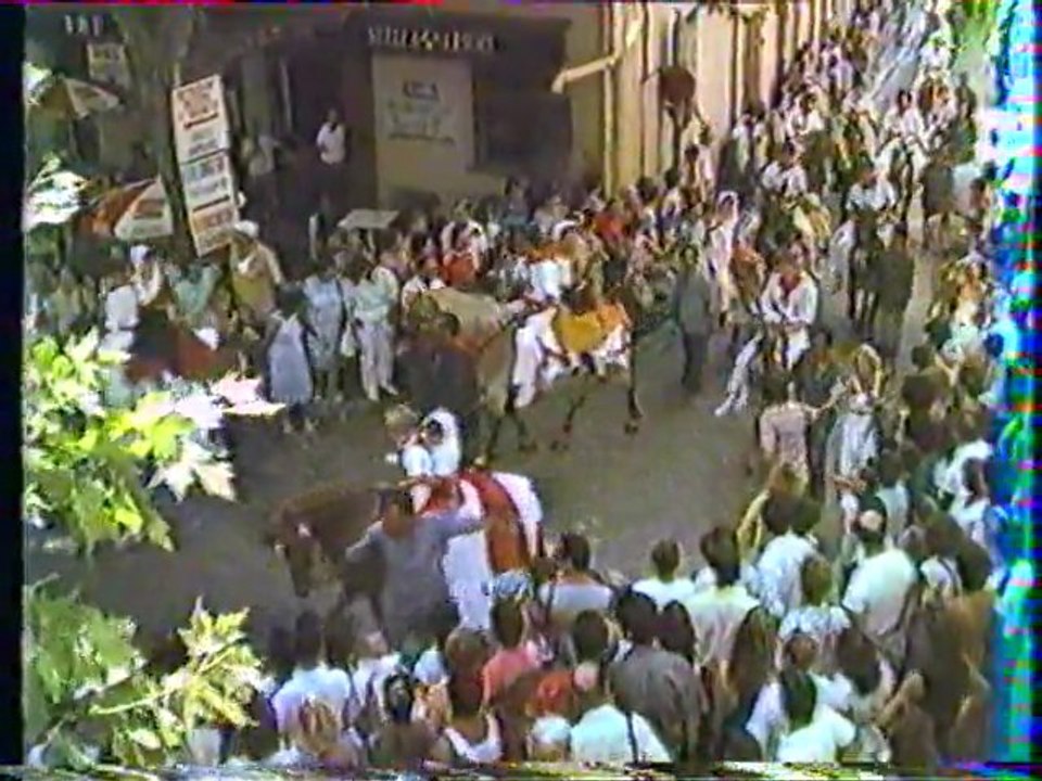 1986 Sant Aloï à Cuges les pins