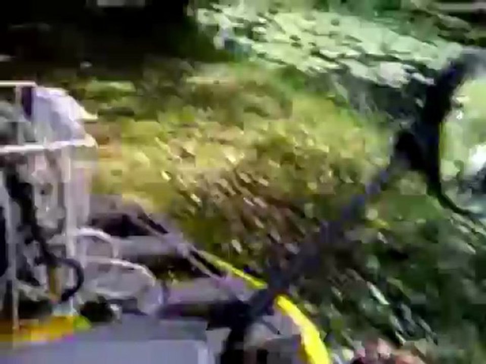 Huskyhof-Waldviertel.at - Freilauf Training: Boys und Puppys  - 23.09.2012