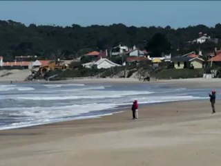 Ballenas de paso en Uruguay