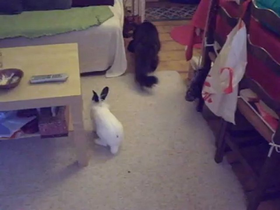 Galen poursuivi par Galen 2