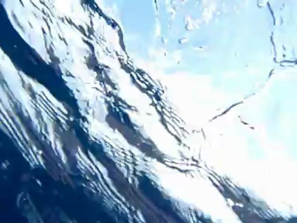 Cinque Terre - Amber mackerels