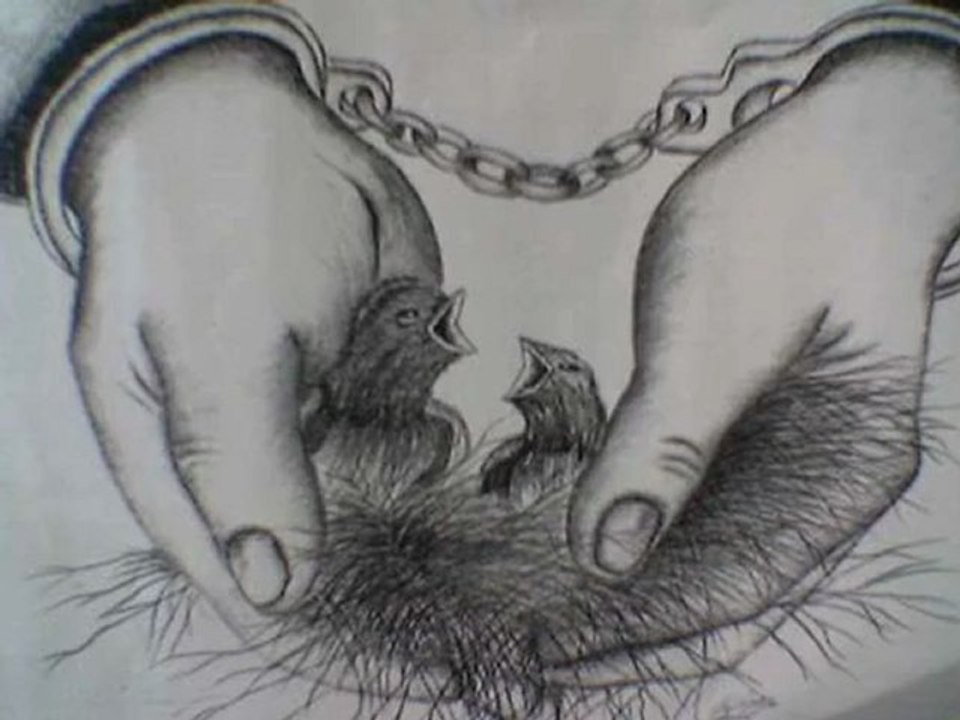 CaTLAKLaRSesLi.CoM Ahmet Emre Boran Gülüm