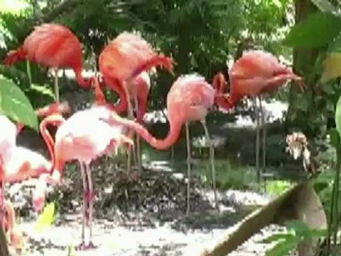 YouTube business videos Medford Oregon