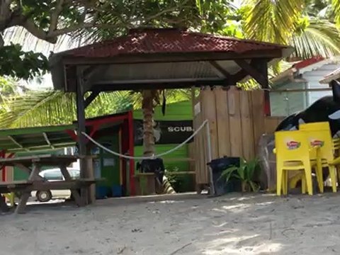 Plongée Passion / Grande Anse D'Arlet