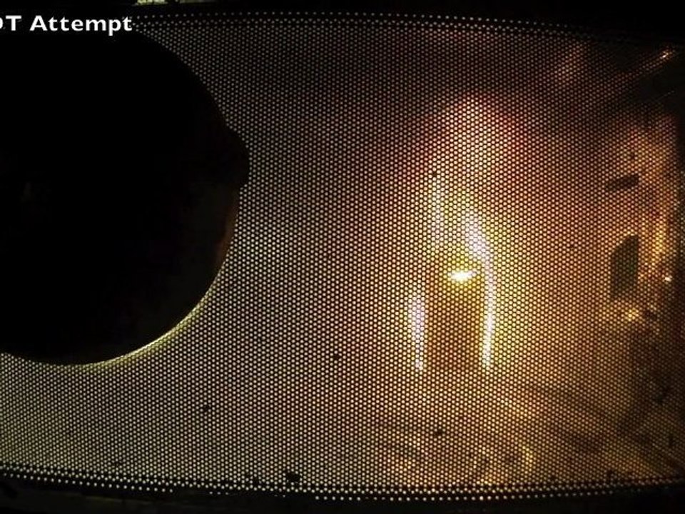 iPhone 5 au micro-ondes