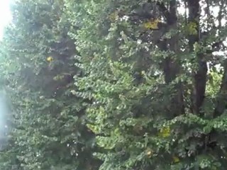 Violent coup de vent sur Beauvais