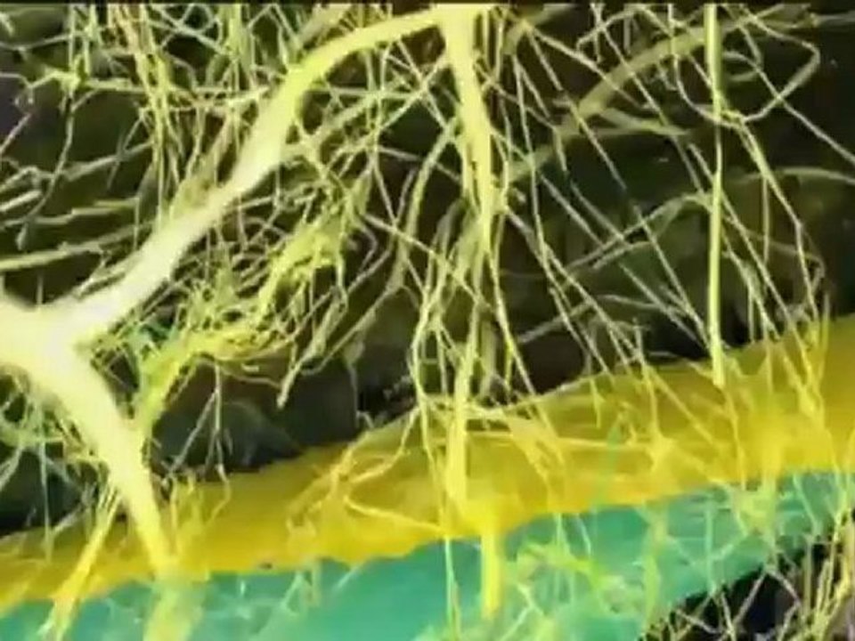 Babel-Torpremiere für Ajax - Twente weiter ohne Punktverlust