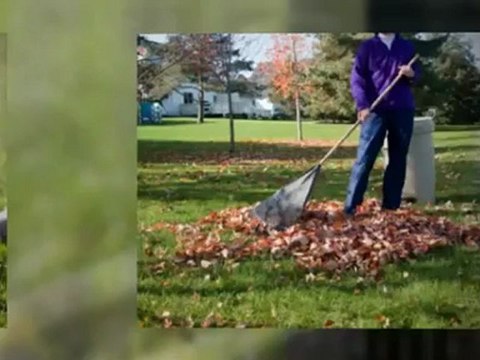 King's Services - (803) 318-2010