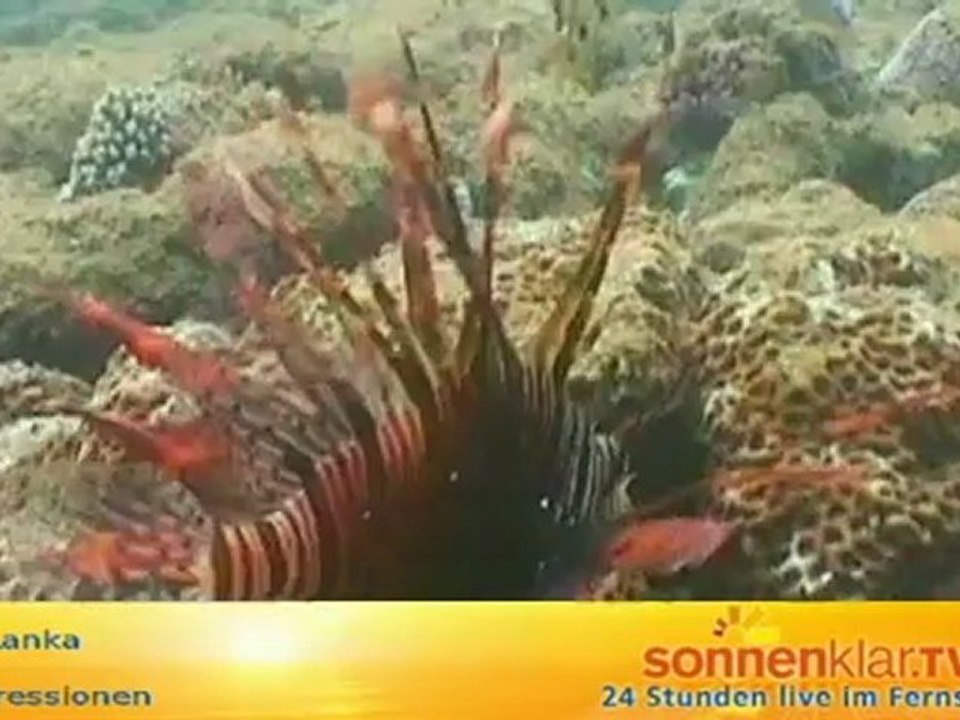 Sri Lanka allgemein 5