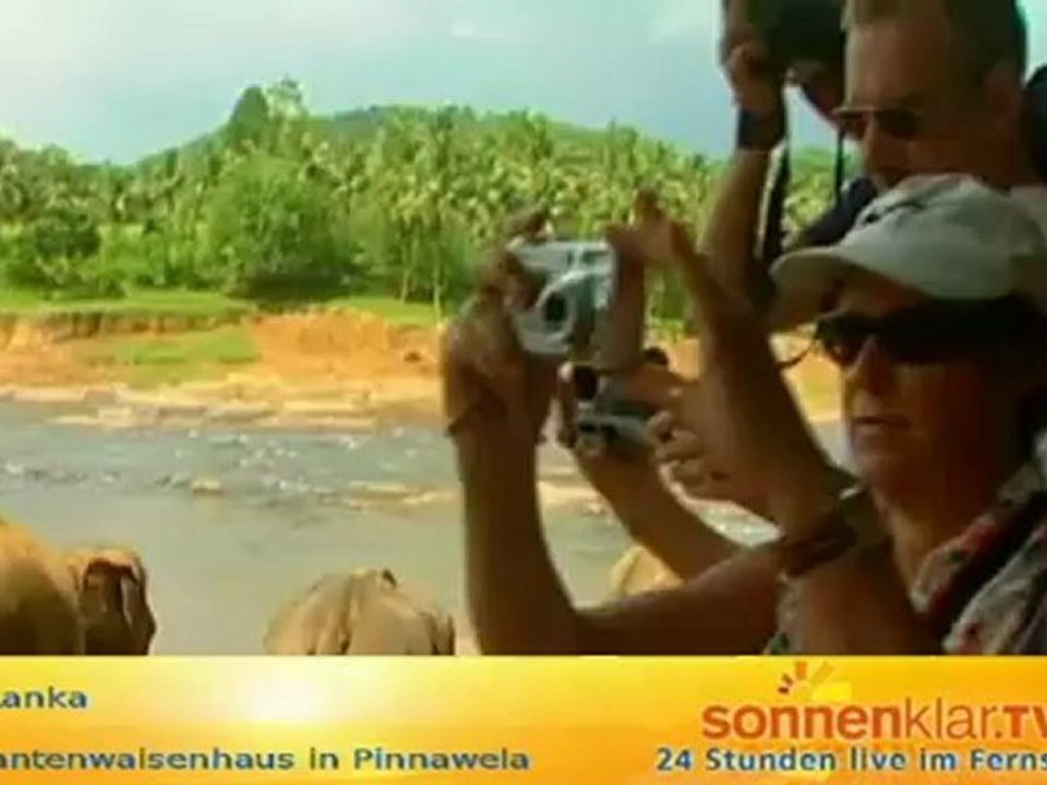 Tipp Elefantenwaisenhaus in Pinnawela