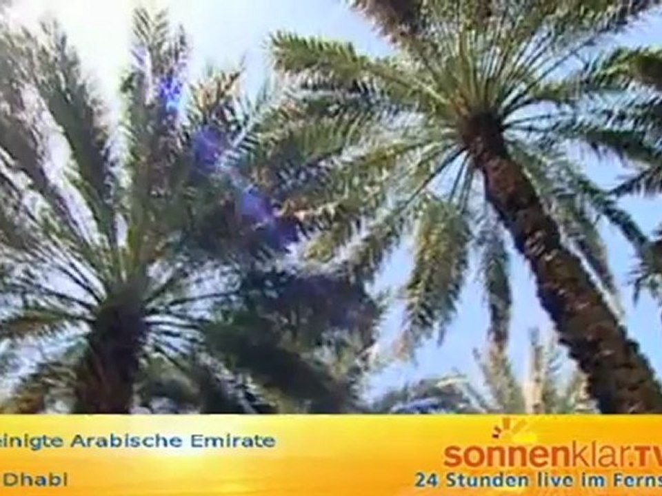 Desti Abu Dhabi Moschee Oase 02