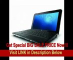 SPECIAL DISCOUNT HP Mini 110-1125NR 10.1-Inch Black Netbook - Up to 8 Hours of Battery Life (Windows 7 Starter)