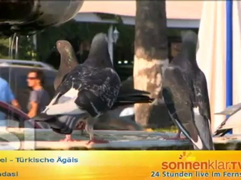 Desti Kusadasi Version 2