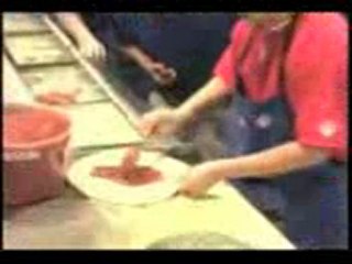 World's Fastest Everything - knowmoreblog.com