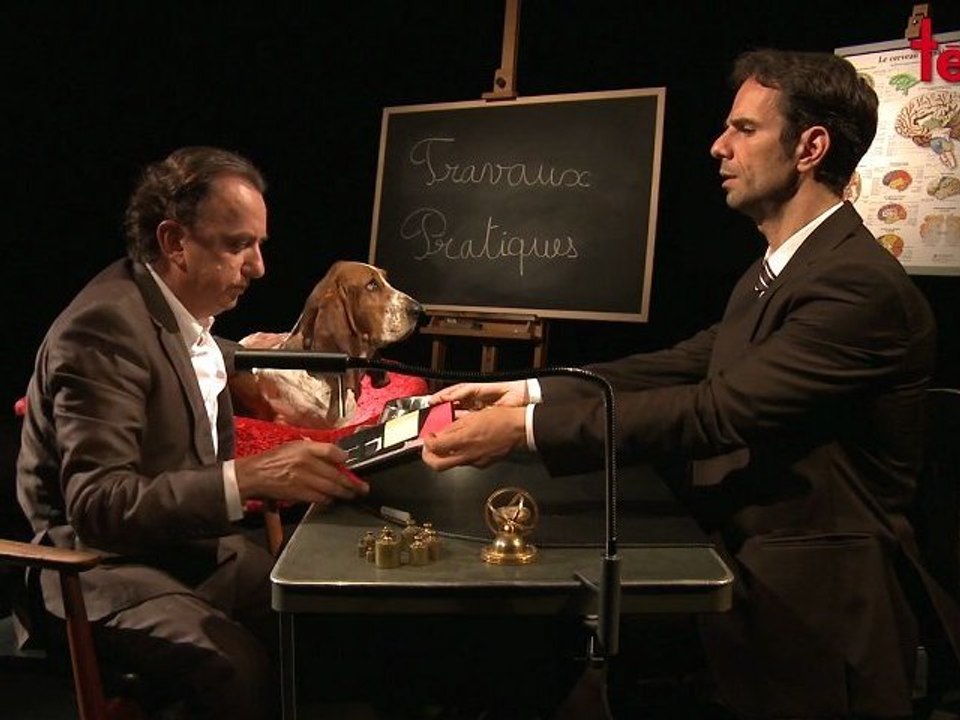 Devenez Un Mentaliste - Les travaux pratiques de Giorgio - La star