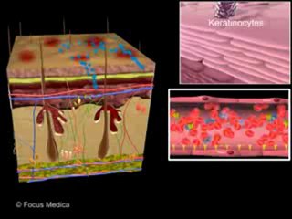 Psoriatic Arthritis_ Effect on Joints and Skin