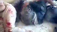 مسرب شبيحة الاسد تعذب المعتقلين بشكل وحشي و طائفي