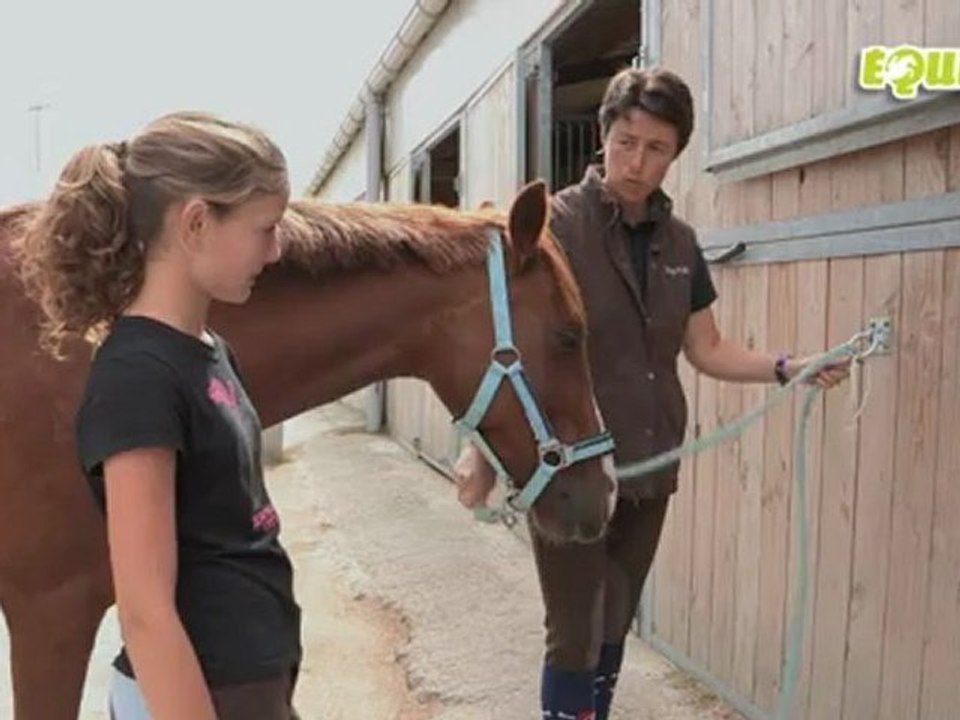 Equitv : Leçon d'équitation :Attacher son cheval