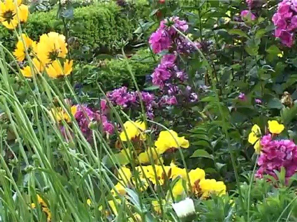 أحمد زكي كليب سبحان الله