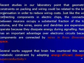 2008 Propiedades electricas de los nervios ciaticos (2/2) , Cursos Verano