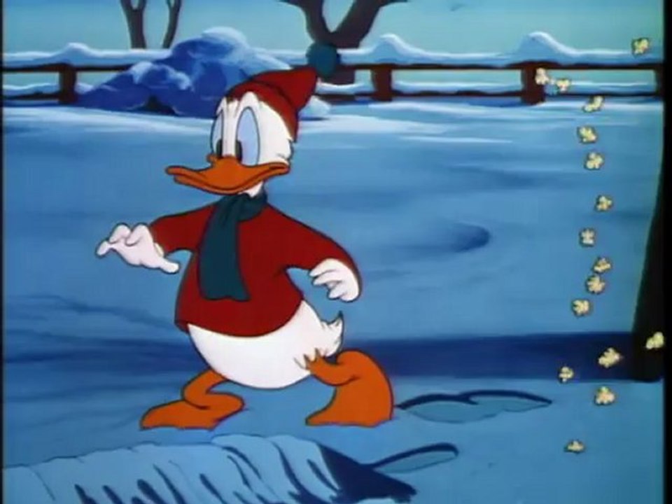 chip end dale -5