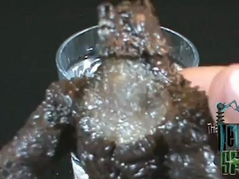 Spooky Spot - Van Helsing Monster Slayer The Wolf Man