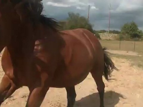 11.09.2012.c.liberte