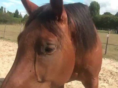 11.09.2012.d.liberte